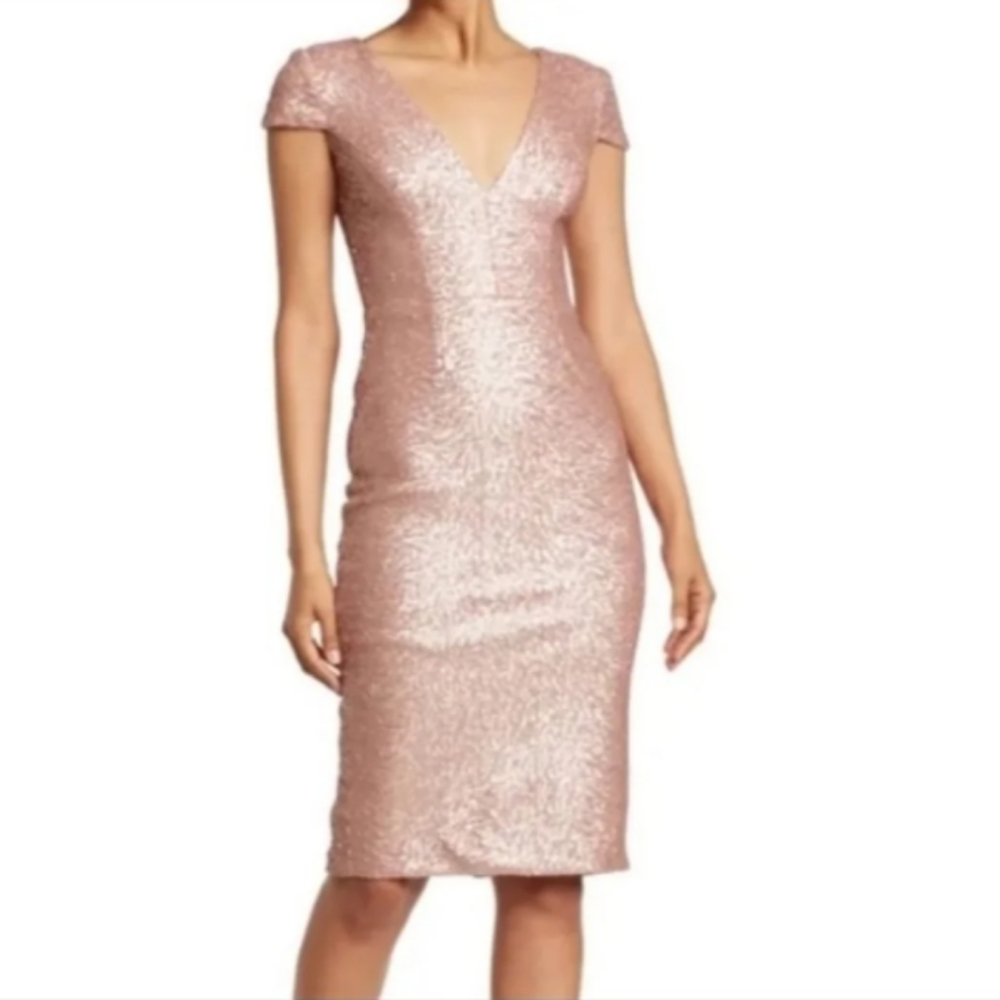 Dress the Population Dress Sequins Dress Rose